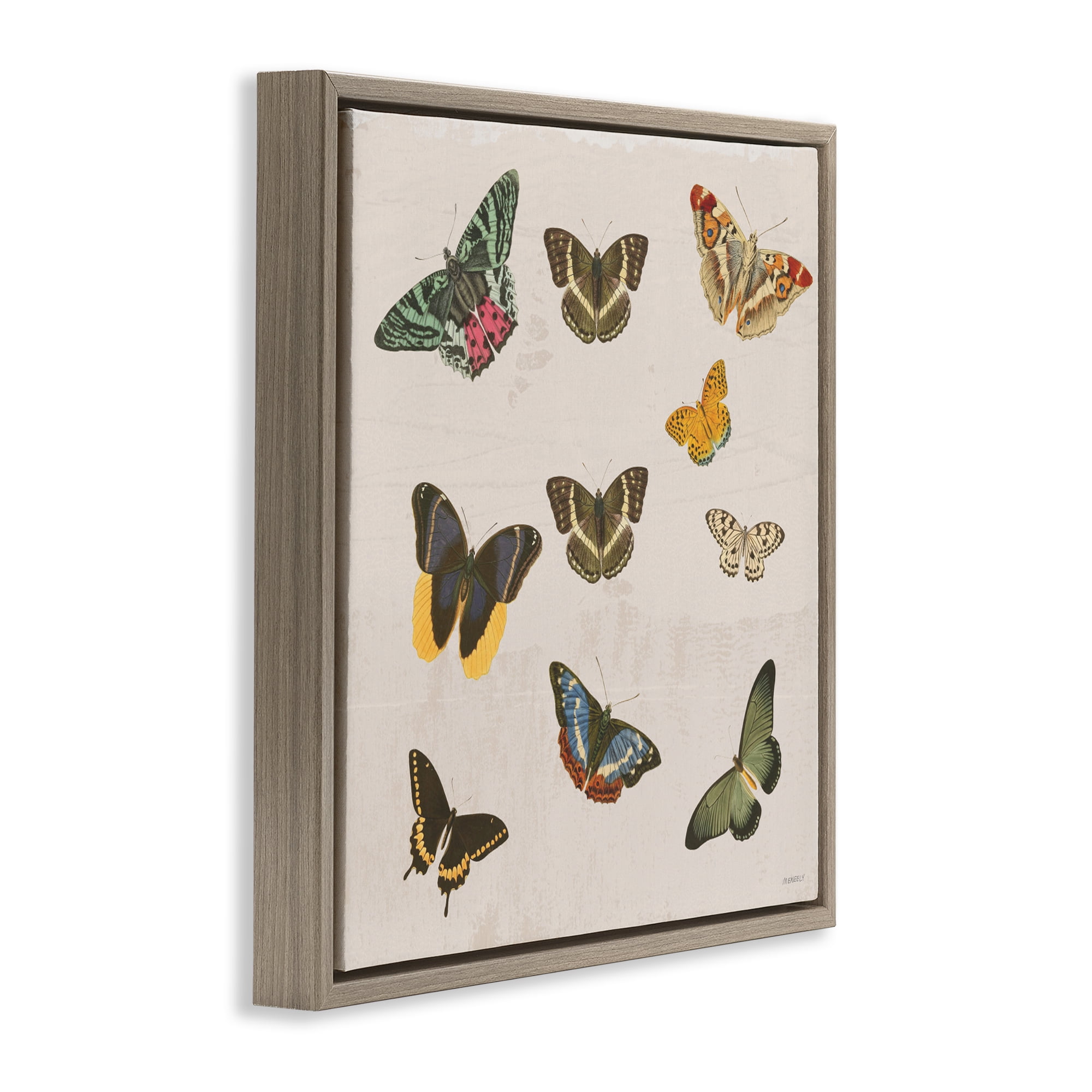 Stupell Industries Antique Butterfly Flight Brown Framed Floater Canvas Wall Art, design by Dan Meneely