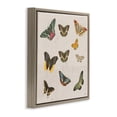 thumbnail image 2 of Stupell Industries Eclectic Antique Butterfly Flight Brown Floating Frame Canvas Art, 18 x 18, by Dan Meneely, 2 of 8