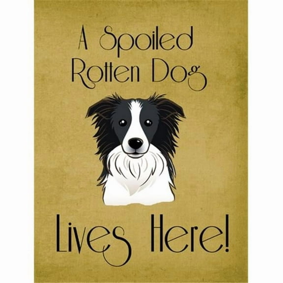 Caroline's Treasures BB1489GF Border Collie Spoiled Dog Lives Here Flag Garden Size , Small, multicolor