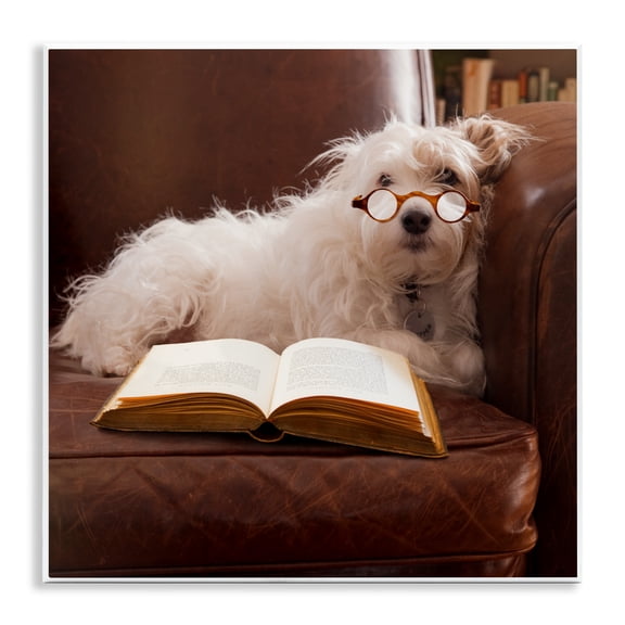 Stupell Industries Traditional White Dog Reading Book Wall Plaque Art, 12 x 12, by Michael Quackenbush