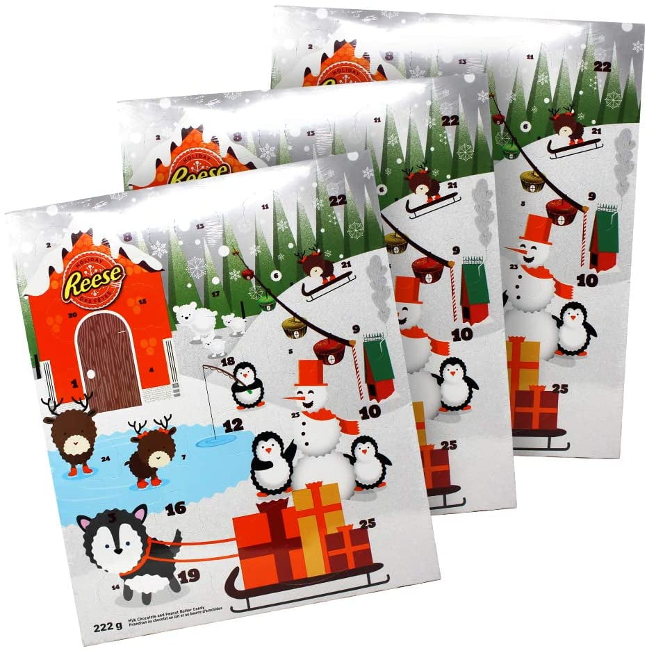 MMA Advent Calendar Christmas Decorations Activity Advent Calendars Birds Design