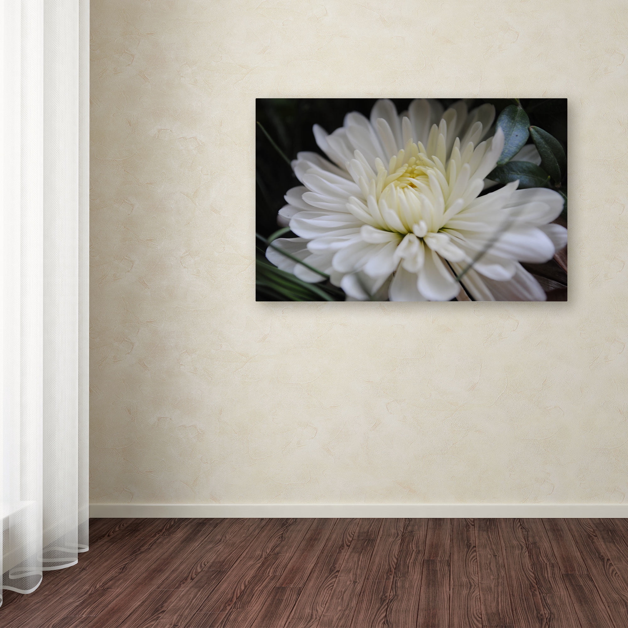Trademark Fine Art "Vintage Culture" Canvas Art by Monica Fleet