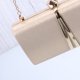 thumbnail image 4 of KAKOWELY bolso de noche, bolso de mano para boda, bolso de mano, bolso de mano, monedero, estampado simple para mujer (dorado), 4 of 4