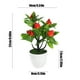 thumbnail image 3 of Simulation Of 7 Pachycarpus Fortunei Large Fruit Bonsai Living Room Coffee Table Decoration Photography Props Wine Cabinet Decoration, 3 of 6