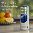 thumbnail image 2 of Happy Being Blueberry Sparkling White Tea – Antioxidant & Polyphenol Rich, Infused with Turmeric, Elderberry, Caffeine Free, Plant-Based, Low Sugar & Low Calorie Drinks, 12oz (4 Pack), 2 of 10