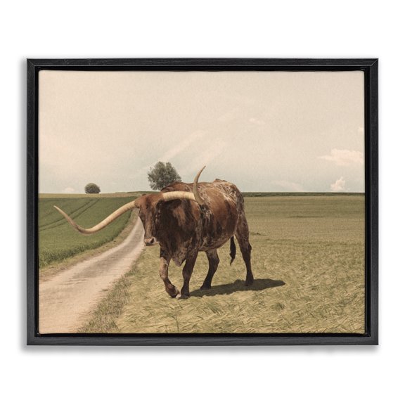 Stupell Industries Southwestern Longhorn Cattle Grazing Scenic Countryside Landscape Black Floating Frame Canvas Art, 21 x 17, by Marcus Prime