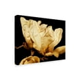thumbnail image 2 of Trademark Fine Art 'Buttercream Magnolia II' Canvas Art by Rachel Perry, 2 of 4