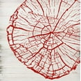 thumbnail image 2 of Murdock, Ramona 12x12 White Modern Wood Framed Museum Art Print Titled - Tree Rings II, 2 of 4