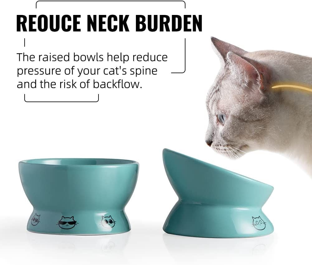 SWEEJAR Raised Cat Bowls Set, Tilted Food Bowl and Deep Water Bowl, Ceramic Pet Bowl Collection for Cats and Small Dogs, Set of 2 (Turquoise)