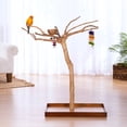 thumbnail image 4 of Prevue Pet Products Coffeawood Tree Style #2 Floor Stand Extra-Small 22621, 4 of 19
