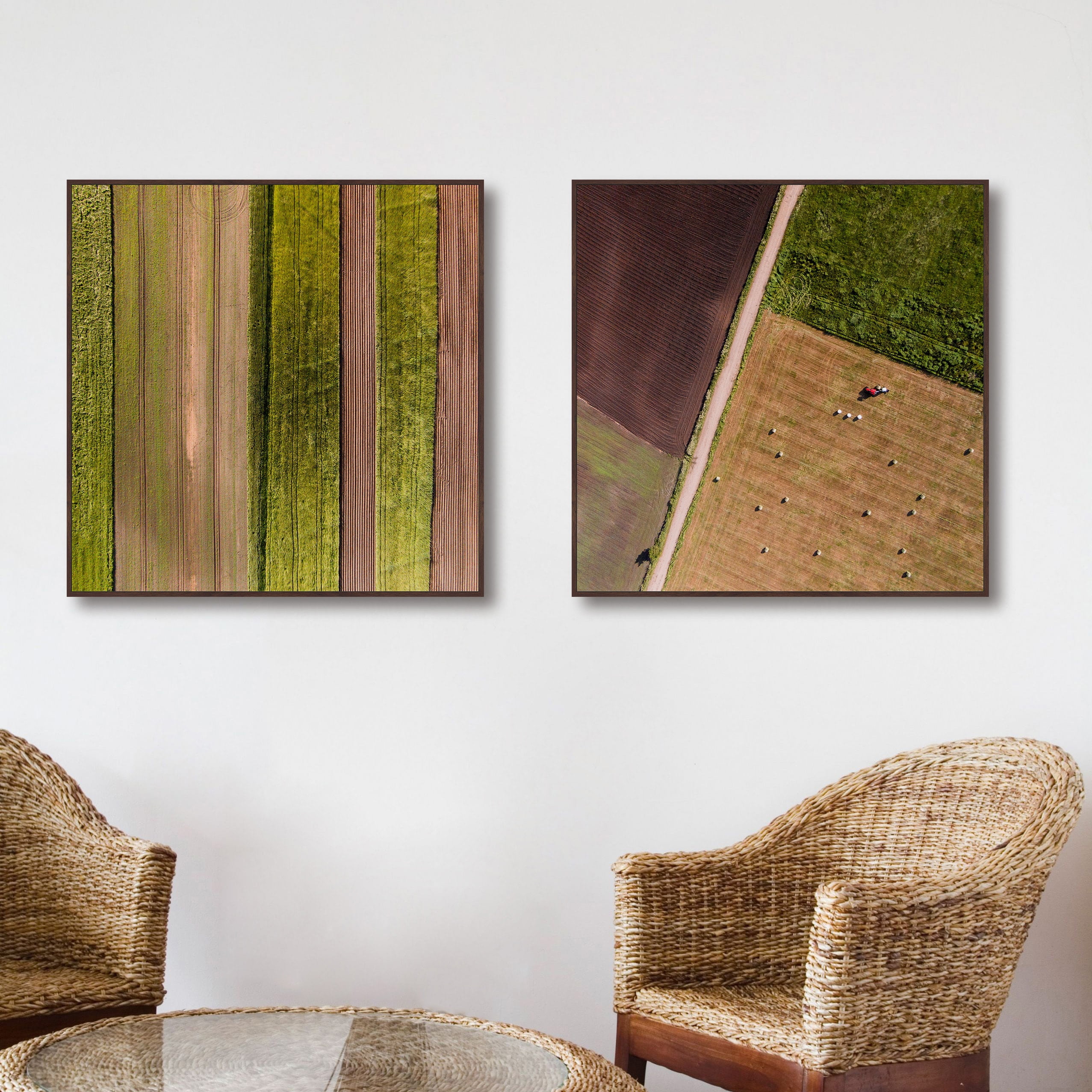 Farm Rows Diptych