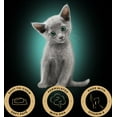 thumbnail image 2 of Sheba Perfect Portions Kitten Soft Pate Tendre Dinde Entrée Nourriture Humide pour Chat, Plateau de 75 g, Caisse de 24, 2 of 5