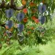 thumbnail image 2 of Price cut Garden Orchard Rotating Wind Chime Stainless Steel Mirror Wind Turn Creative Pendant, 2 of 3