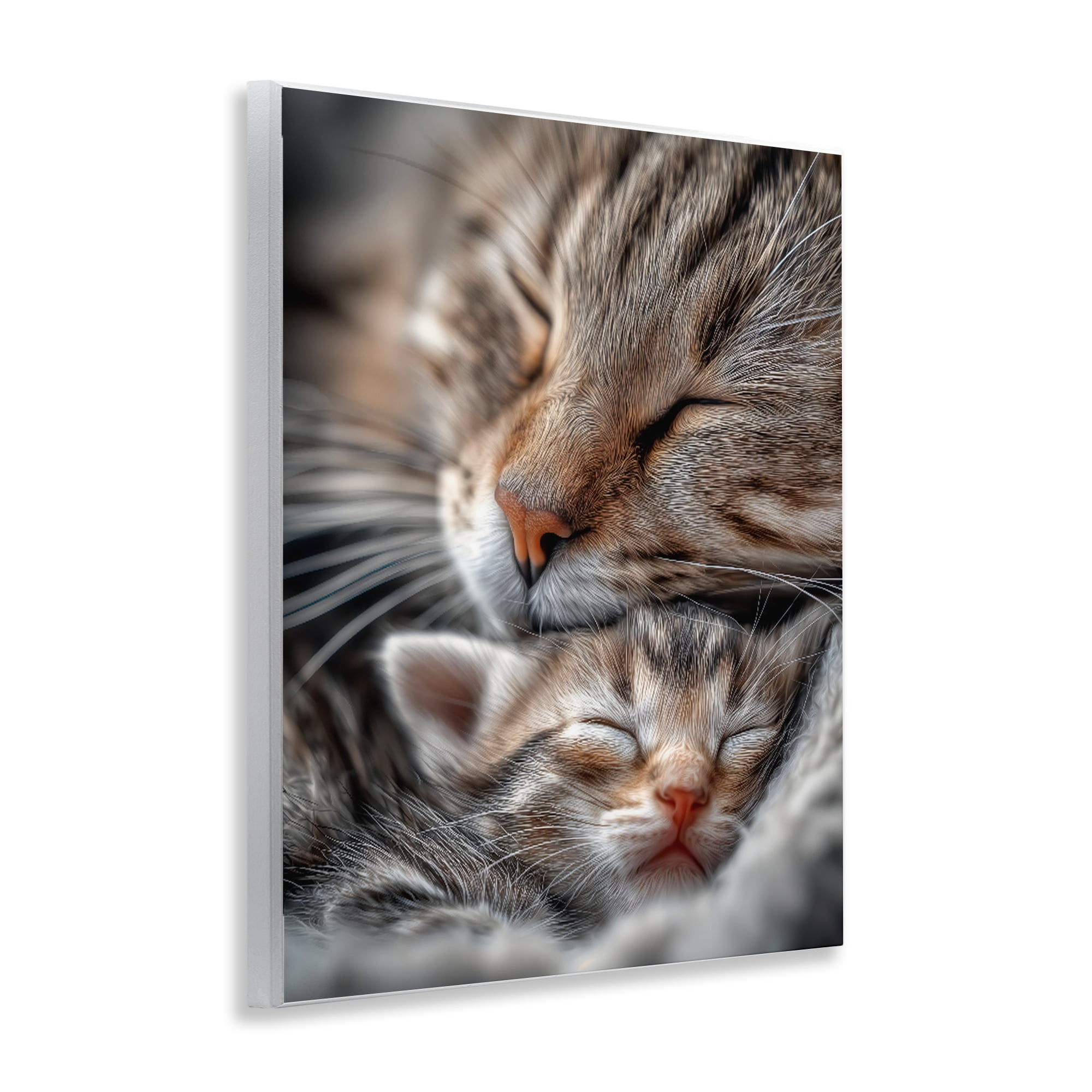 Stupell Industries Kitty Love Cuddles Wall Plaque Art, design by Scott Stulberg