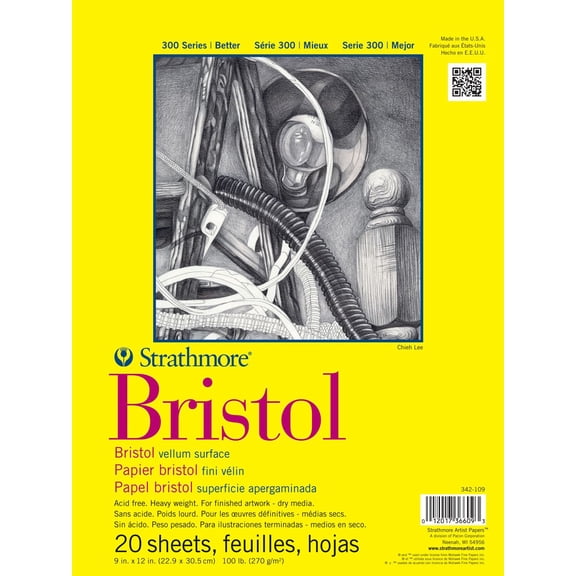 Strathmore 300 Series Bristol Vellum Pad, 12 Pack