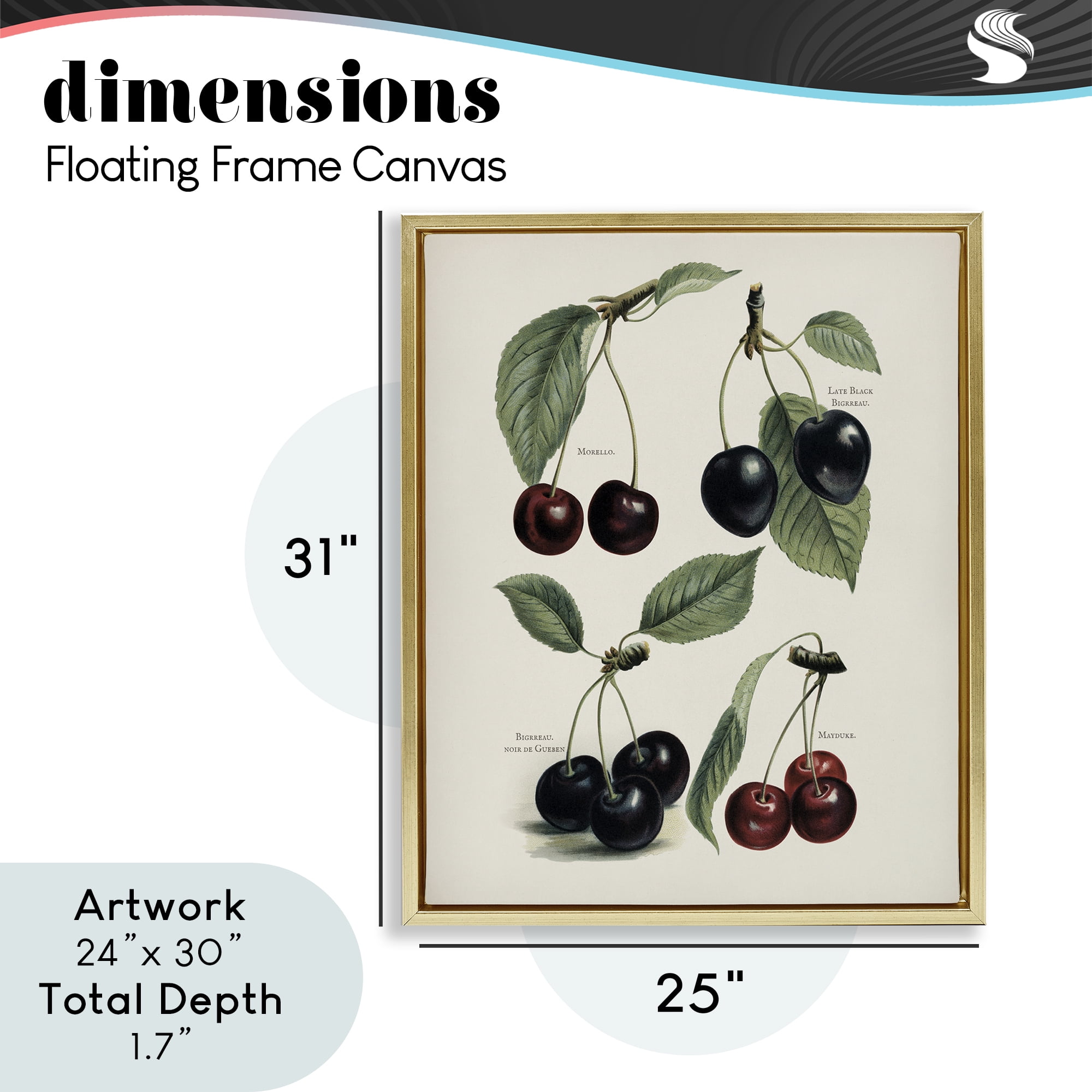 Natural Detailed Cherry Studies Gold Framed Floater Canvas Wall Art, design by Lettered and Lined