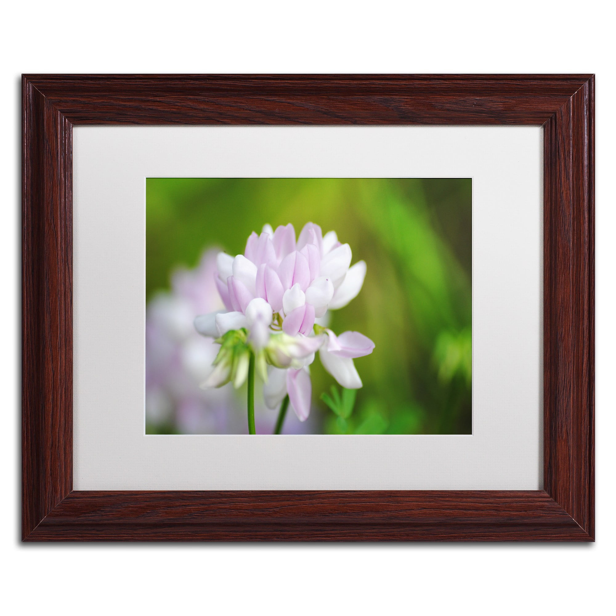 Trademark Fine Art "Calm Heart" Canvas Art by Monica Mize, White Matte, Wood Frame