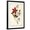 Black Frame, variant on Art.com Audubon Bird & Botanical I Art Print by John James Audubon, 12" x 18"