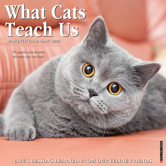 What Cats Teach Us 2026 Wall Calendar, (Paperback)