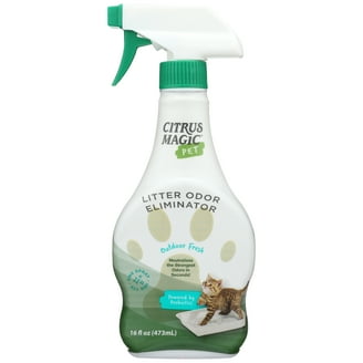 Cocoa Butter Cashmere Carpet & Upholstery Deodorizer