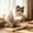 Brown B, variant on AuroraX Silvervine Cat Chew Wand Natural Sisal Rope Cat Wand Durable Non-Toxic Teeth Cleaning Long Lasting Interactive Cat Toy for Boredom Relief Brown