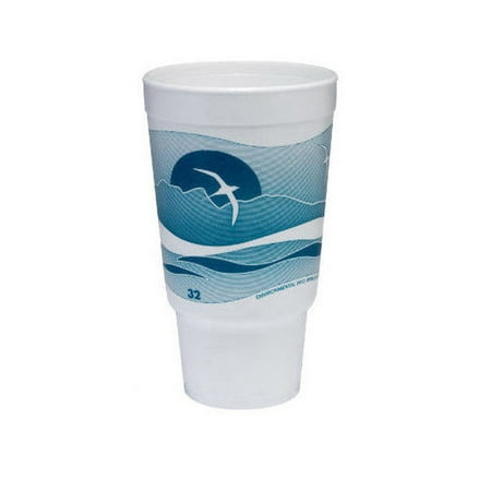 Dart Container Corp. 32 Oz Printed Horizon Foam Hot / Cold Cup (Set of 16)