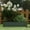 Black, variant on LFSLJJMY Metal Raised Garden Bed, Rectangle Raised Planter 4×2×1ft for Flowers Plants, Vegetables Herb Silver