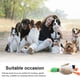 thumbnail image 5 of Greeniant Juguete con sonido para mascotas, forma de pato de peluche, Animal para masticar, entrenamiento interactivo, morder, juguetes Type3 NO3, 5 of 6