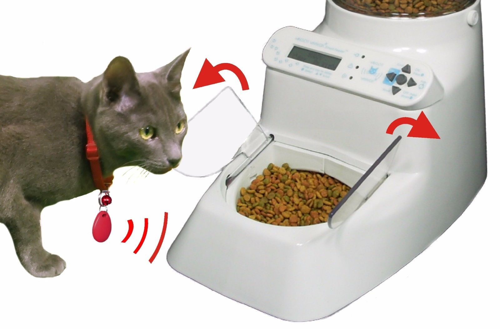 auto dog feeder walmart