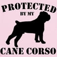 thumbnail image 2 of CafePress - Protected By My Cane Corso Infant Bodysuit - Baby Light Bodysuit, Size Newborn - 24 Months, 2 of 4
