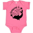 thumbnail image 3 of Inktastic Hawaii Islands with Dolphin Boys or Girls Baby Bodysuit, 3 of 5