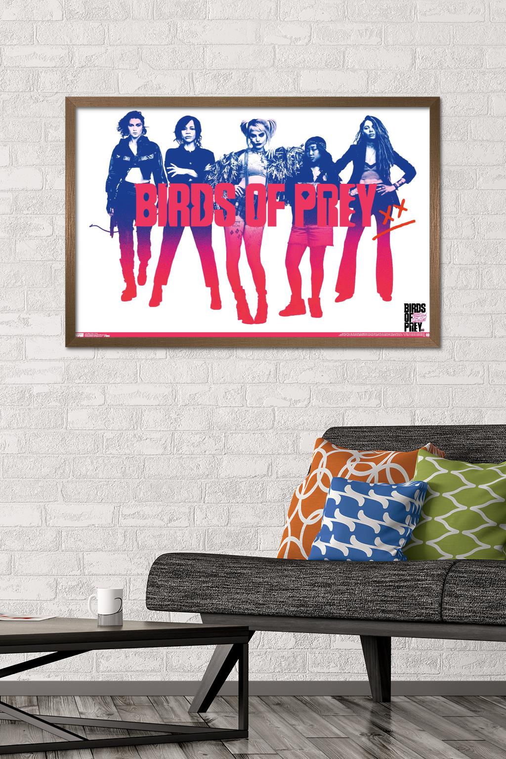 DC Comics Movie - Birds of Prey - Group Wall Poster, 22.375" x 34", Framed