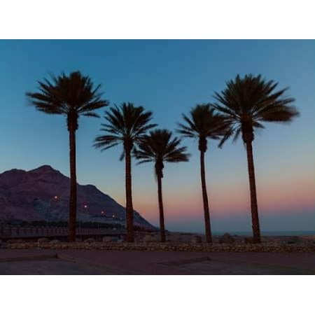 Palm trees on beach of Dead sea Israel Poster Print by  Assaf