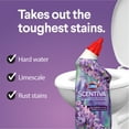 thumbnail image 3 of Clorox™ Scentiva™ Disinfecting Toilet Gel, Lavender & Jasmine, 709mL, 3 of 7