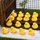thumbnail image 5 of Juguetes de baño de pato de goma, paquete de 50 mini patos de goma, pato flotante a granel, juguete de baño para bebé, ducha, recuerdos de fiesta de cumpleaños, regalo, aula, verano, playa, piscina, j, 5 of 5