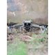 thumbnail image 3 of Piernas Trípode Protección Aterrizaje Soporte Uso La Pierna para DJI Air 3, 3 of 9