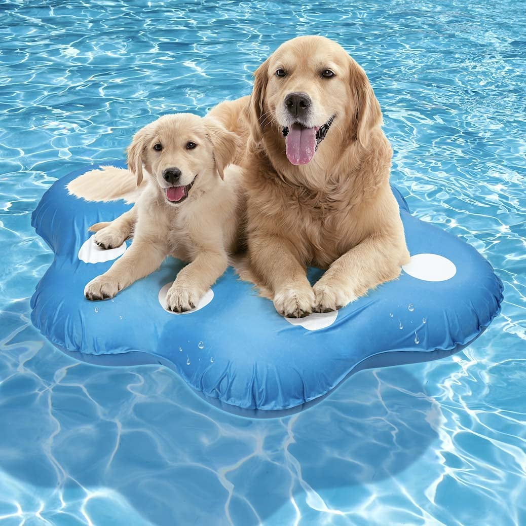 Dog Floats Pool