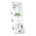 thumbnail image 1 of Click and Grow Smart Garden Dill Plant Pods, 3-Pack, 1 of 5