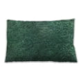 thumbnail image 1 of Ahgly Company Outdoor Rectangular Contemporary Lumbar Throw Pillow, 13 inch by 19 inch, 1 of 5