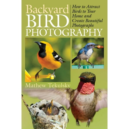 Backyard Bird Photography : How to Attract Birds to Your Home and Create Beautiful