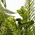 thumbnail image 4 of National Tree Artificial 22" Garden Accents Boston Fern Wreath, 4 of 5