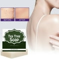 thumbnail image 1 of Jabón de Aceite de Árbol de Té para Rostro y Cuerpo | Defensas Naturales | Limpiador Hidratante de Limpieza Profunda | Calm Fresh 100 G, 1 of 7