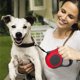 thumbnail image 2 of Correa retráctil para perros pequeños, correa retráctil para perros, se puede extender hasta 5 m, adecuada para perros pequeños y medianos (rojo) BRI Rojo Verde, 2 of 5