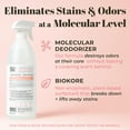 thumbnail image 4 of Cat Urine & Odor Destroyer - Professional Strength, Plant-Powered, Cruelty-Free Urine Eliminator for Carpets and Indoor Living Spaces, 35 oz., 4 of 4