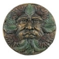thumbnail image 3 of Ebros Summer Season Bronzed Blooming Floral Foliage Celtic Greenman Wall Decor, 3 of 8