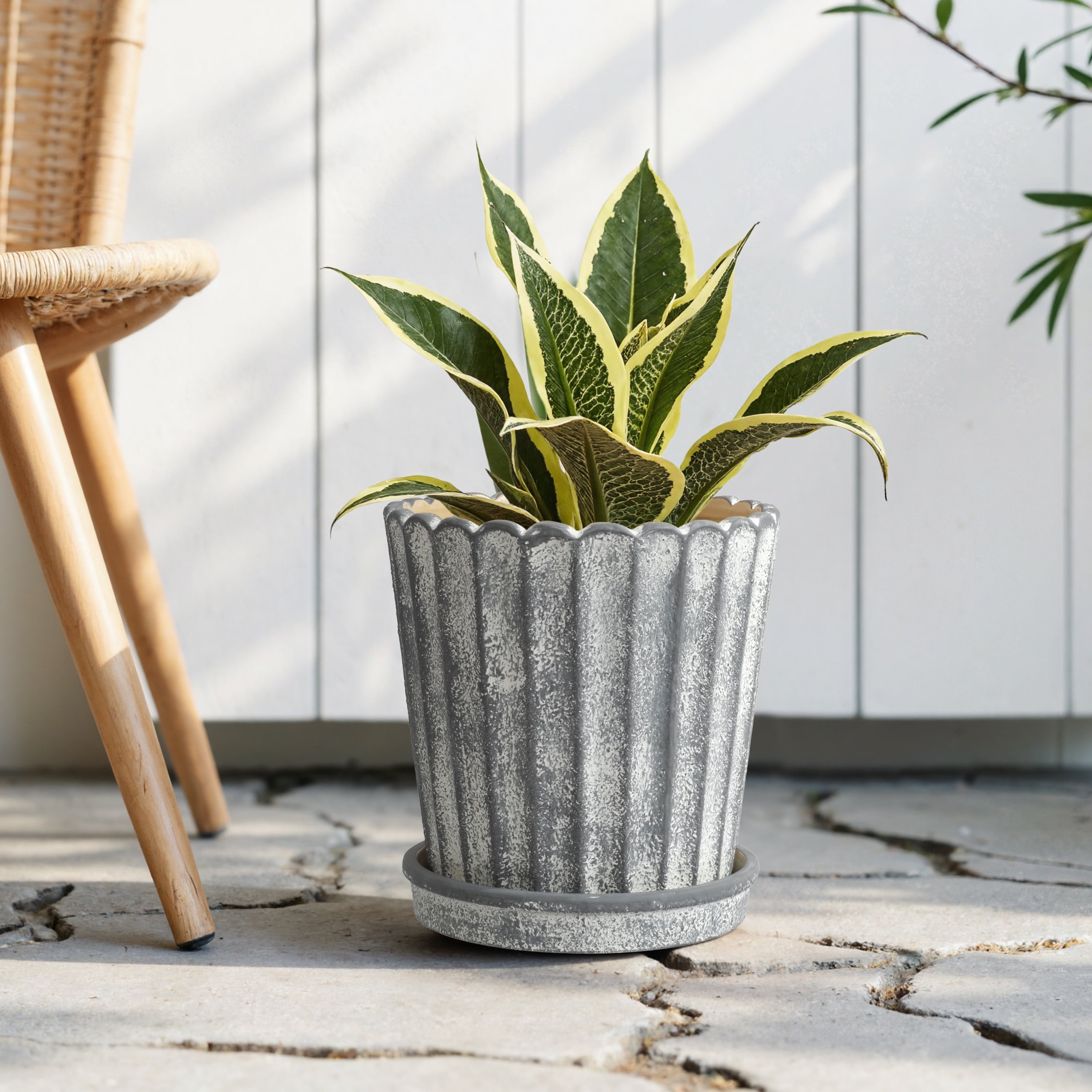My Texas House 8 inch Shell Gray Ceramic Planter Pot