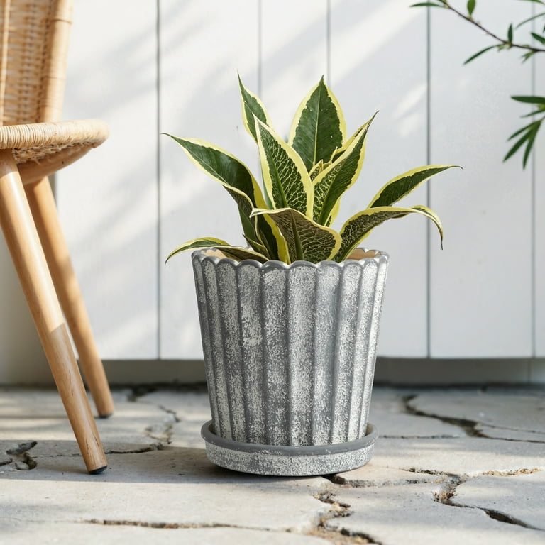 My Texas House 8 inch Shell Gray Ceramic Planter Pot - Walmart.com