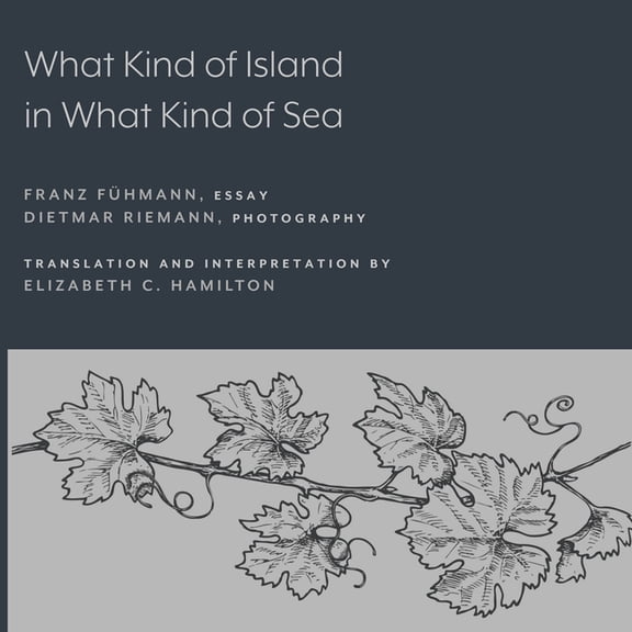 What Kind of Island in What Kind of Sea?, (Paperback)