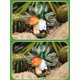 thumbnail image 2 of Estatuas de gnomo de jardín – Figura de gnomos de ardilla de resina con luces LED solares en forma de hongo en el tronco, decoraciones de primavera al aire libre para patio, jardín, porche, adorno de, 2 of 6