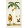 thumbnail image 2 of Turpin 10x14 Black Ornate Wood Framed with Double Matting Museum Art Print Titled - Turpin Exotic Palms V, 2 of 4